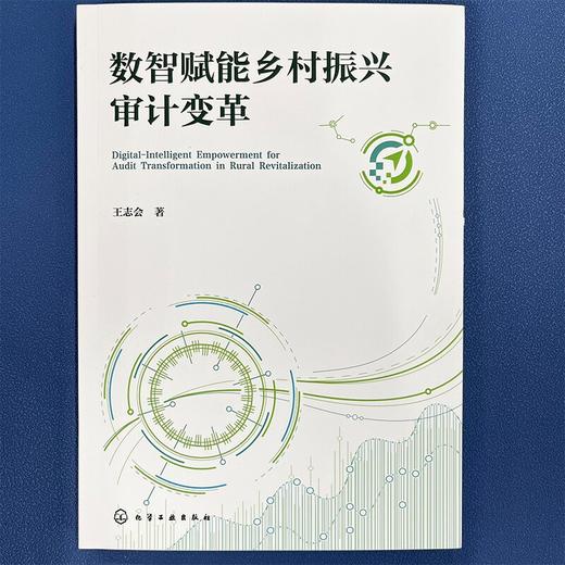 数智赋能乡村振兴审计变革 商品图2