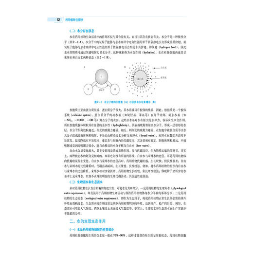 药用植物生理学 徐刚 梁宗锁 全国高等医药院校药学类专业第六轮规划教材 供中药学、中药资源与开发等专业用 中国医药科技出版社 商品图4