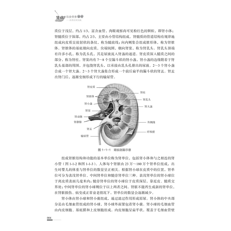 试读PDF-9787308223461(1-1)-肾病饮食营养治疗:从理论到实践_016.jpg