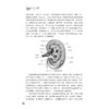肾病饮食营养治疗——从理论到实践/国医大师王永钧传承工作室丛书/主审 王永钧/主编 张红梅 李艳娟/浙江大学出版社 商品缩略图2