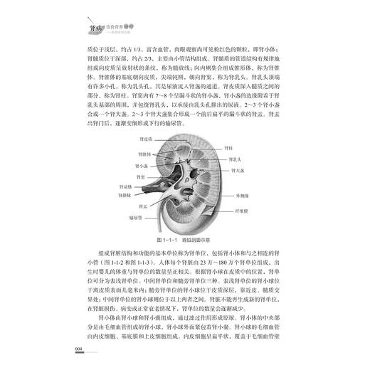 肾病饮食营养治疗——从理论到实践/国医大师王永钧传承工作室丛书/主审 王永钧/主编 张红梅 李艳娟/浙江大学出版社 商品图2
