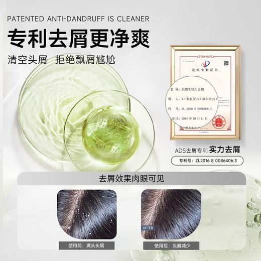 弹动520ml人参茶树纯露洗发露 商品图3