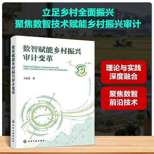 数智赋能乡村振兴审计变革 商品图0