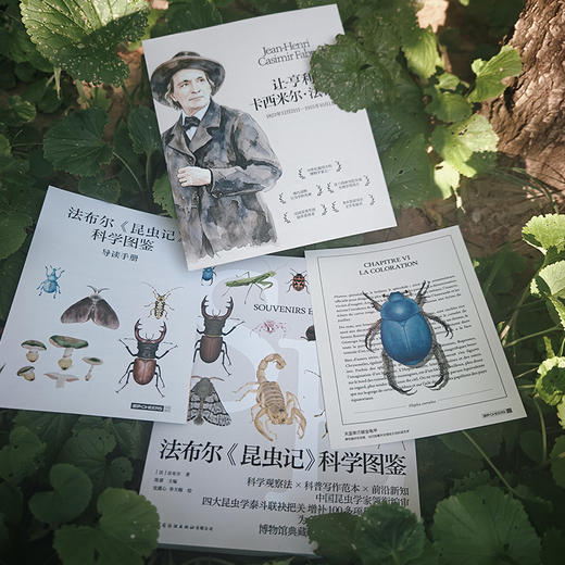 作者亲签·法布尔《昆虫记》科学图鉴 陈睿主编 博物典藏级 赠琥珀卡 商品图9