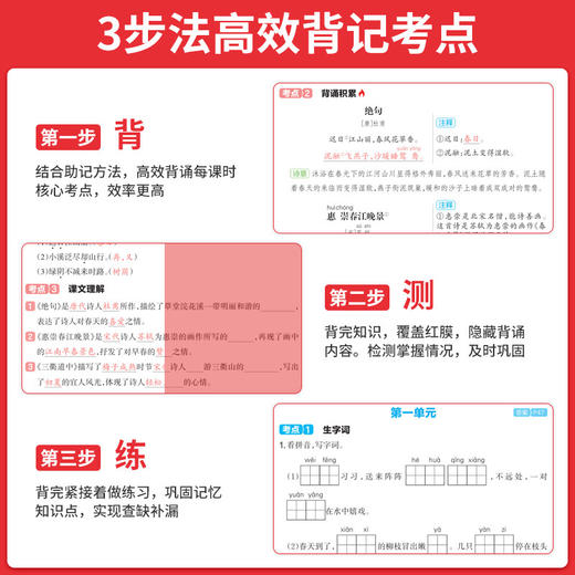 2027一本小学课本考点速记一二三四五六年级上册语文数学英语人教版教材同步考前考点速记专项训练 商品图2