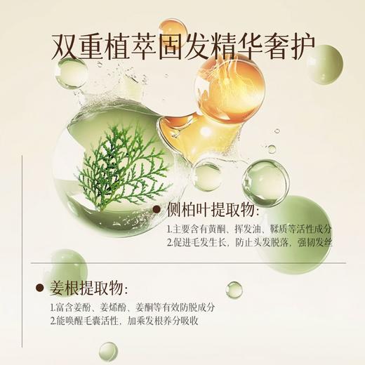 弹动500ml防脱固发洗发水 商品图4