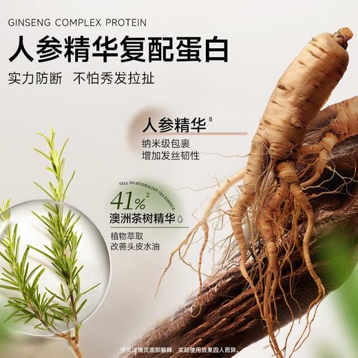 弹动520ml人参茶树纯露洗发露 商品图1