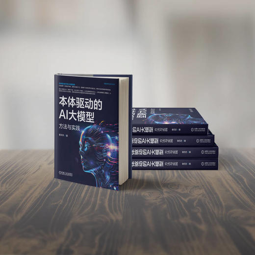 本体驱动的AI大模型：方法与实践 商品图2