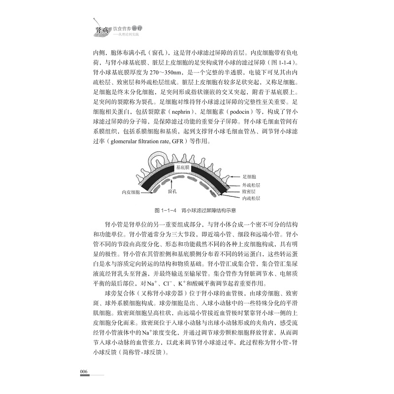 试读PDF-9787308223461(1-1)-肾病饮食营养治疗:从理论到实践_018.jpg