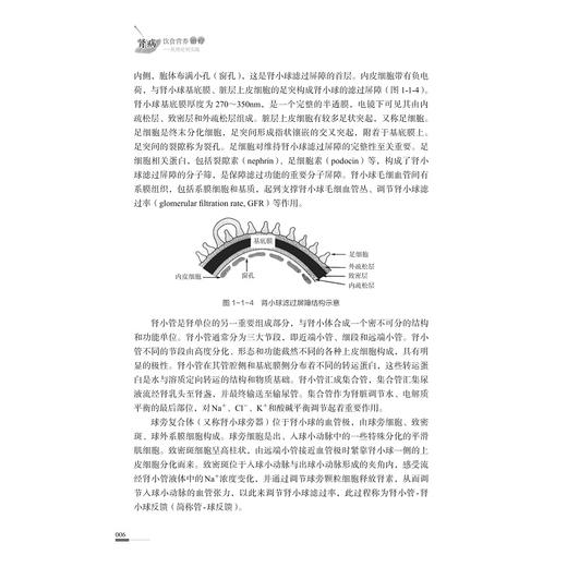 肾病饮食营养治疗——从理论到实践/国医大师王永钧传承工作室丛书/主审 王永钧/主编 张红梅 李艳娟/浙江大学出版社 商品图4