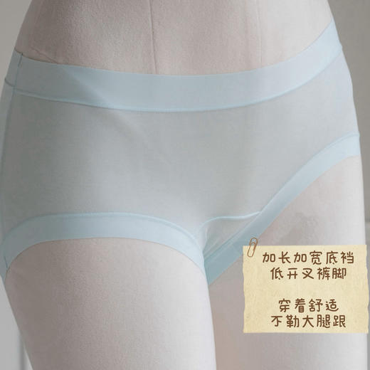 【独立密封包装，樱姿娜七日鲜内裤】亲柔莱赛尔裤身➕吸汗纯棉底裆，独立包装安全卫生 商品图10