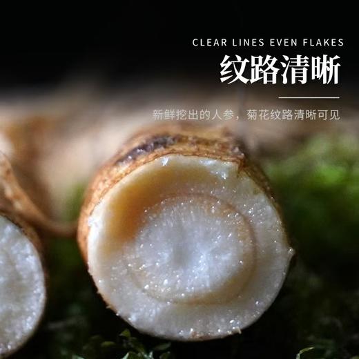 鲜参现采！2026长白山抚松鲜人参  国家地理标志产品 商品图5