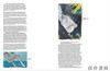 【现货】Georg Baselitz: adler barfub / 乔治·巴塞利茨：赤脚雄鹰 商品缩略图4