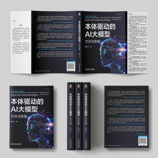 本体驱动的AI大模型：方法与实践 商品图1