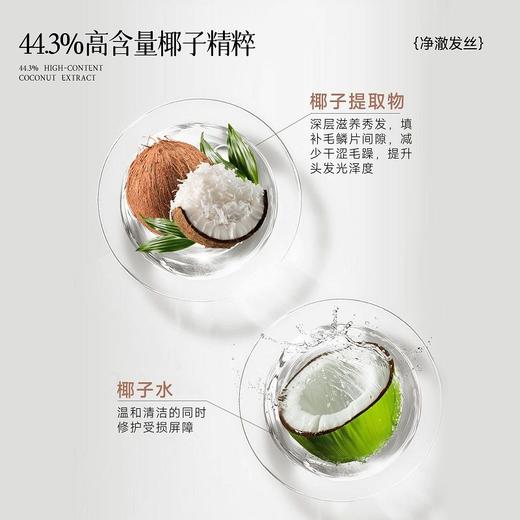 弹动450g椰子蓬松洗发水 商品图1