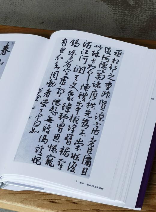 【超值低价】《中国书法全集 朱耷 石涛 龚贤 龚晴皋》，16开，精装，荣宝斋主编，荣宝斋出版社2017年一版二印，约340页，定价160，售价62元。 商品图7