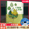 2026秋 小学语文备课手册 六年级上册 6上 人教版 （含光盘）  部编版教材教学参考 小学语文教师用书 江苏凤凰教育出版社 商品缩略图0