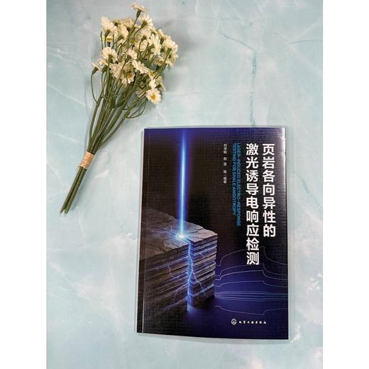 页岩各向异性的激光诱导电响应检测 商品图1