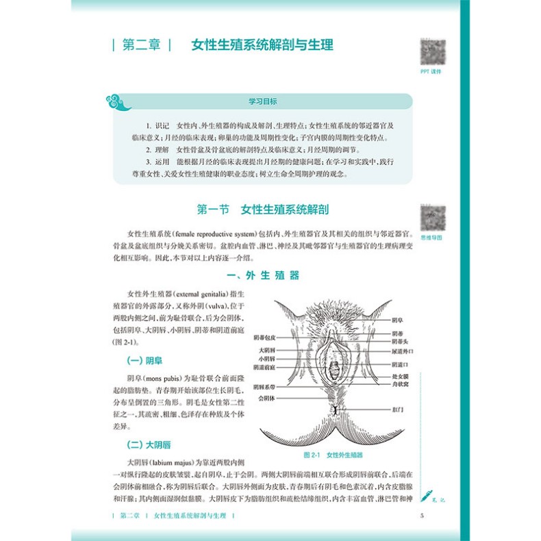 9787117399555(yz)-(5).jpg