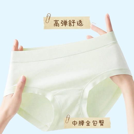 【独立密封包装，樱姿娜七日鲜内裤】亲柔莱赛尔裤身➕吸汗纯棉底裆，独立包装安全卫生 商品图3