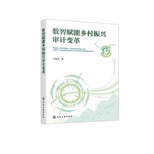 数智赋能乡村振兴审计变革 商品图1