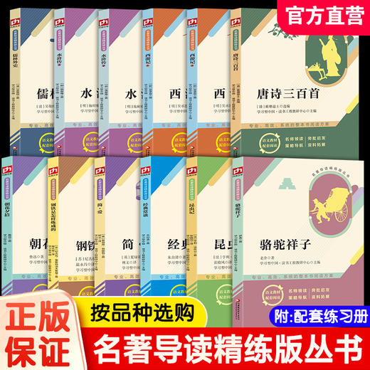 名著导读精练 朝花夕拾西游记水浒传骆驼祥子经典常谈昆虫记儒林外史简爱钢铁是怎样炼成唐诗三百首789中考语文名著考点练习 商品图0
