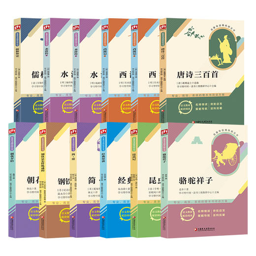 名著导读精练 朝花夕拾西游记水浒传骆驼祥子经典常谈昆虫记儒林外史简爱钢铁是怎样炼成唐诗三百首789中考语文名著考点练习 商品图4