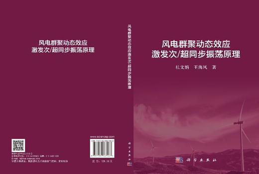 风电群聚动态效应激发次/超同步振荡原理 杜文娟 王海风 9787030867063 商品图3