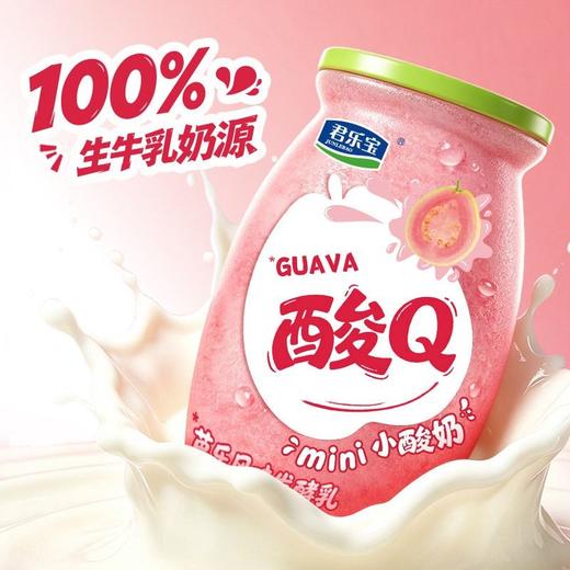 君乐宝170g酸Q芭乐小酸奶 商品图1