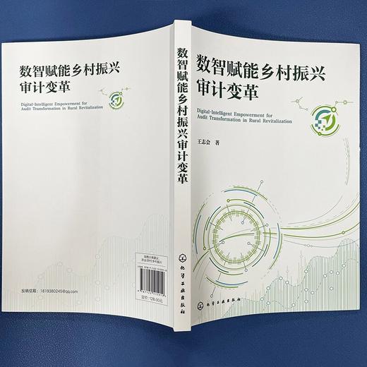 数智赋能乡村振兴审计变革 商品图4