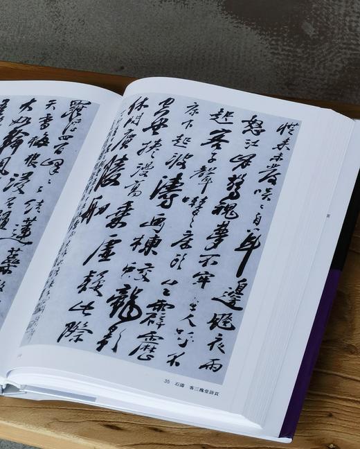 【超值低价】《中国书法全集 朱耷 石涛 龚贤 龚晴皋》，16开，精装，荣宝斋主编，荣宝斋出版社2017年一版二印，约340页，定价160，售价62元。 商品图8