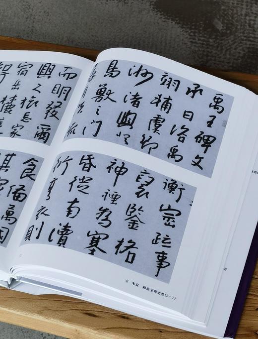 【超值低价】《中国书法全集 朱耷 石涛 龚贤 龚晴皋》，16开，精装，荣宝斋主编，荣宝斋出版社2017年一版二印，约340页，定价160，售价62元。 商品图6