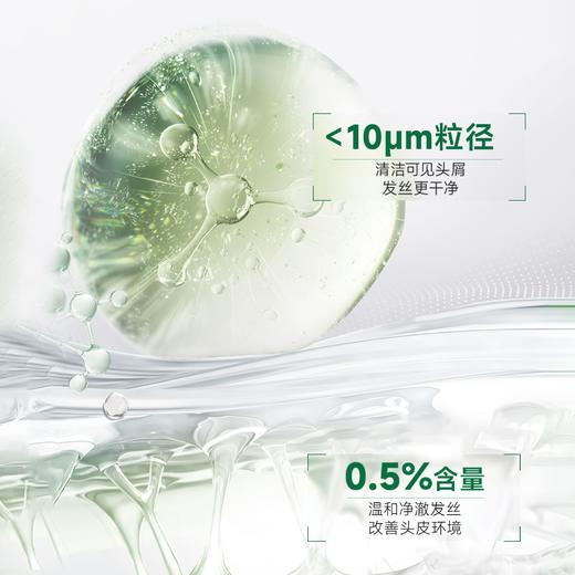 弹动520ml二硫化硒去屑止痒洗发露 商品图2