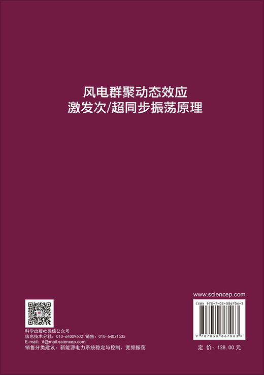 风电群聚动态效应激发次/超同步振荡原理 杜文娟 王海风 9787030867063 商品图1