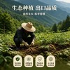 鲜参现采！2026长白山抚松鲜人参  国家地理标志产品 商品缩略图1