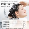 弹动520ml人参茶树纯露洗发露 商品缩略图2