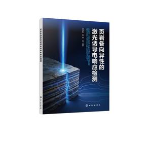 页岩各向异性的激光诱导电响应检测