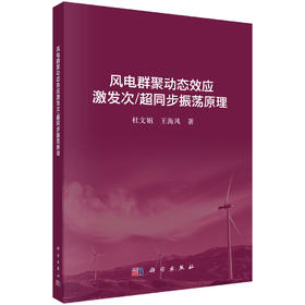 风电群聚动态效应激发次/超同步振荡原理 杜文娟 王海风 9787030867063