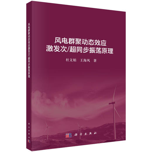 风电群聚动态效应激发次/超同步振荡原理 杜文娟 王海风 9787030867063 商品图0