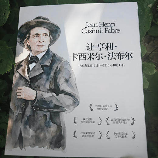 作者亲签·法布尔《昆虫记》科学图鉴 陈睿主编 博物典藏级 赠琥珀卡 商品图7