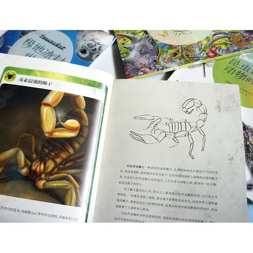 套装 神奇动物在哪里 5册函套版 挪威文学国际推广基金会资助推荐 商品图3