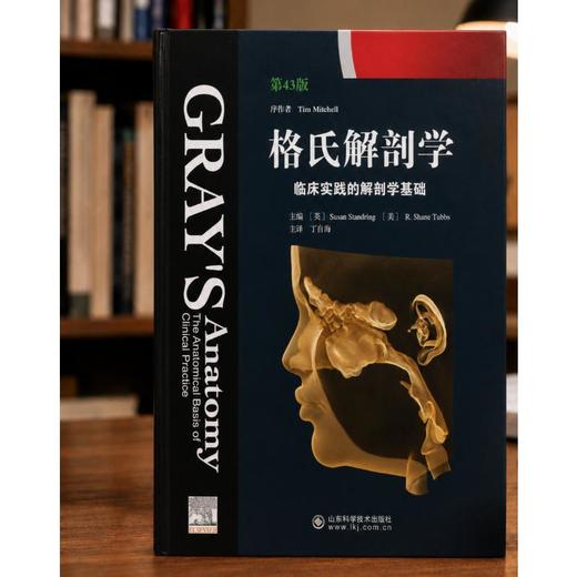格氏解剖学:临床实践的解剖学基础:第43版 商品图1