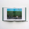 【现货】Gardens and Imagination: Framing Nature in Art / 花园与想象：艺术中自然的取景 商品缩略图1
