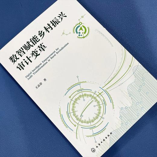 数智赋能乡村振兴审计变革 商品图3