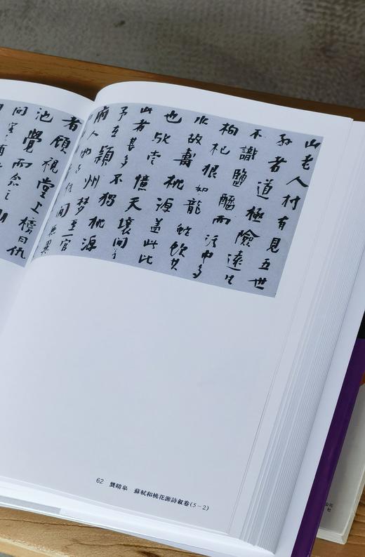 【超值低价】《中国书法全集 朱耷 石涛 龚贤 龚晴皋》，16开，精装，荣宝斋主编，荣宝斋出版社2017年一版二印，约340页，定价160，售价62元。 商品图13
