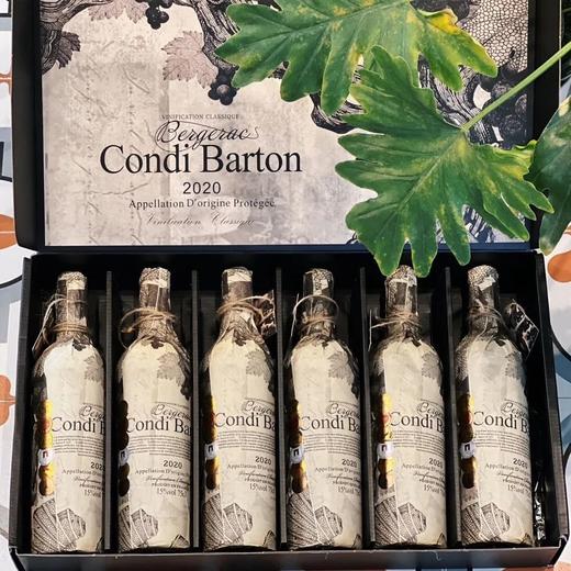 康蒂巴顿家族老藤干红葡萄酒 | 法国原瓶进口，AOP级极品！宴请送礼，倍有面！ 商品图0