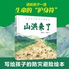 山洪来了 商品缩略图0
