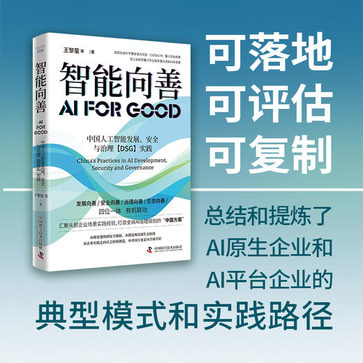 智能向善:中国人工智能发展.安全与治理(DSG)实践 商品图1