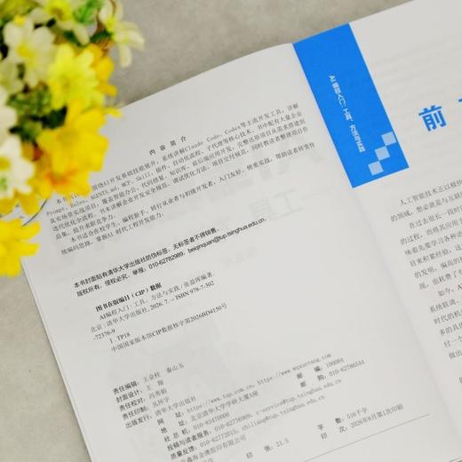 AI编程入门:工具.方法与实践(双色印刷) 商品图4