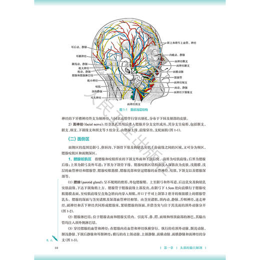 腧穴解剖学 姜国华 王志福 主编 本科中医药类 配增值 十五五规划教材 全国高等学校中医药教育教材 9787117399296人民卫生出版社 商品图4